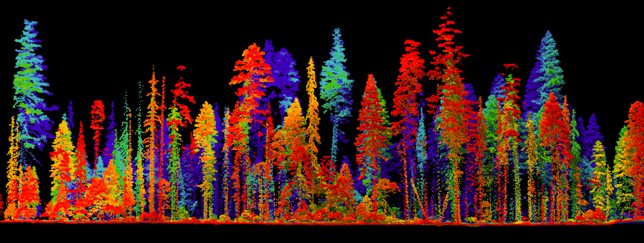 USFS LiDAR Canopy Height Models